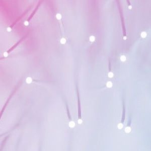 Meet your Posher, Yasmin